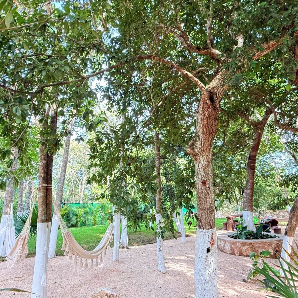 ZONA DE AMACAS
