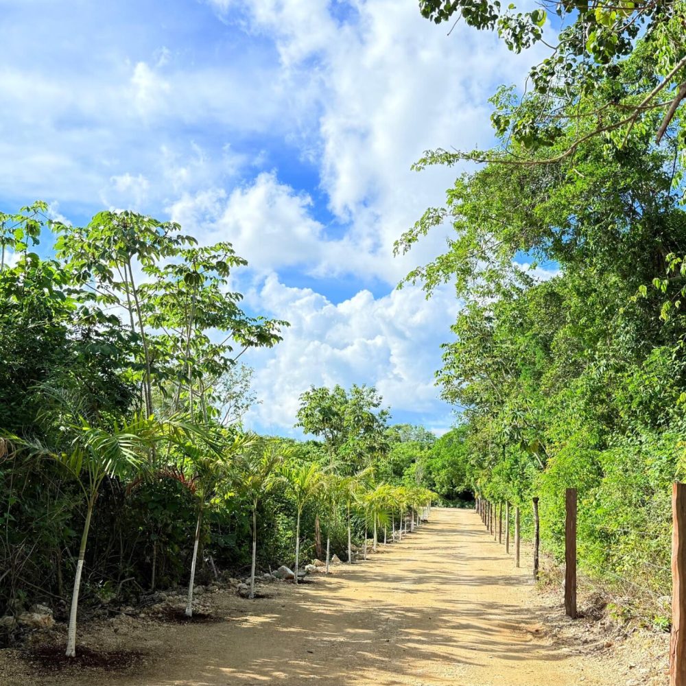 CAMINO CAMPESTRE