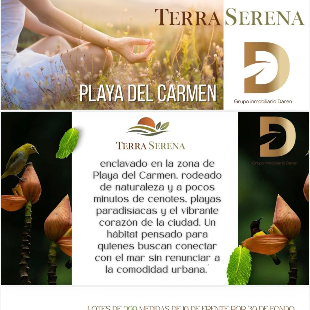 BROCHURE TERRA
